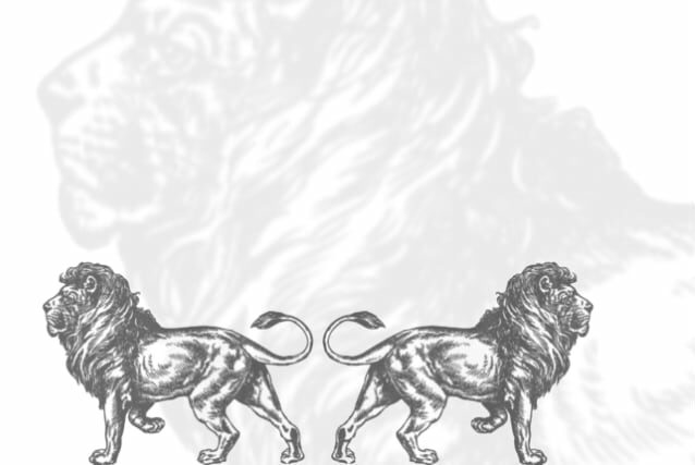 Referenscase Webli webbdesign åt Två Lejon